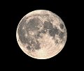 Our Moon